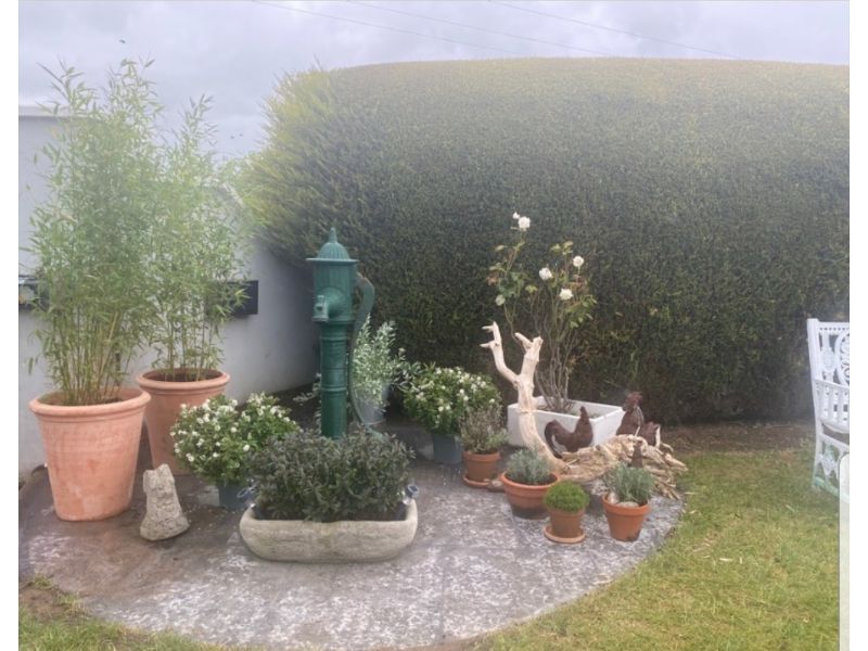 Cast Iron Pumps - Kilkenny Architectural Salvage & Antiques